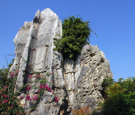 //www.hljpic.cn/a18a04215961330f9ae448b45706bc54?p=0