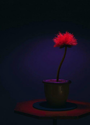 比赛火热进行中