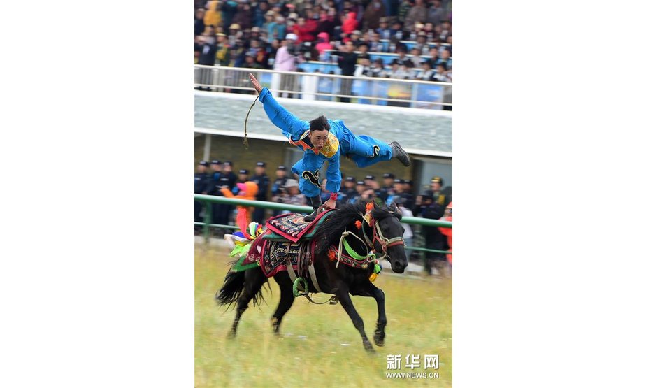 8月13日，骑手在赛马节开幕式上表演。 当日，第十二届格萨尔赛马节在甘肃省甘南藏族自治州玛曲县拉开帷幕。本届赛马节为期6天，共有来自西藏、青海、内蒙古、四川、甘肃等省区的52支队伍900多匹赛马参加速度赛和耐力赛等项目的比赛，期间还将举办草原音乐节、马术表演、民间弹唱等活动。 新华社记者 马晶 摄