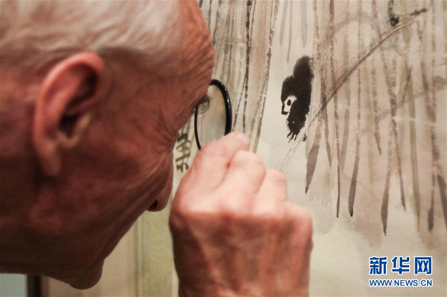 11月12日，一名观众在希腊雅典塞奥哈拉基斯艺术基金会美术馆观看齐白石艺术展。 新华社记者 郑焕松 摄