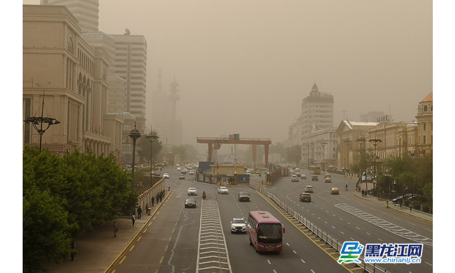 16日上午哈尔滨市区天空泛黄。王忠岩 摄