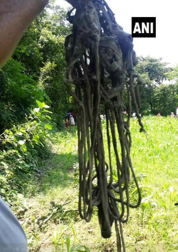 印度米格21坠毁在喜马拉雅山区 飞行员遇难