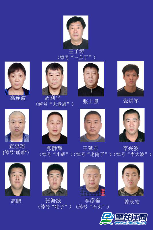 哈尔滨警方公开征集以王子涛为首的黑恶势力犯罪团伙违法犯罪线索