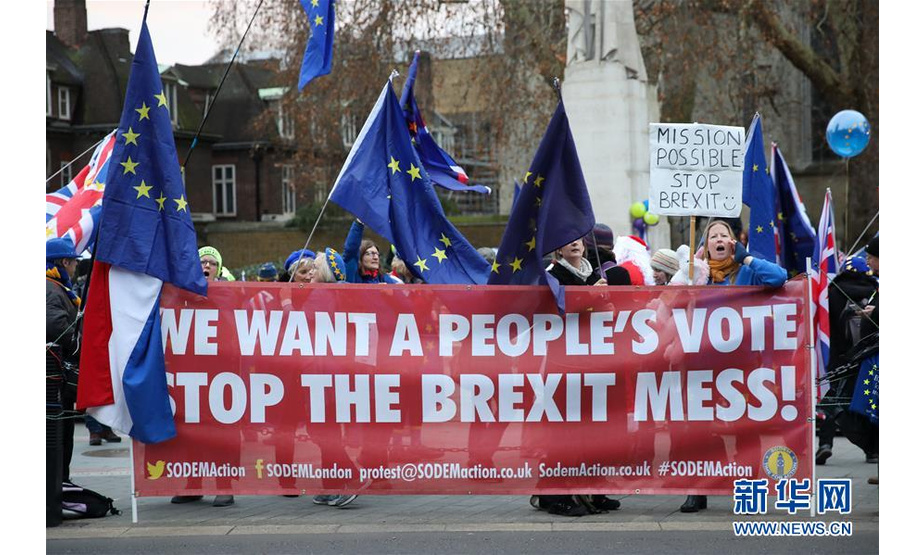 12月10日，在英国伦敦，反对“脱欧”协议的民众在议会大厦外示威。 新华社发（乔·纽曼摄）