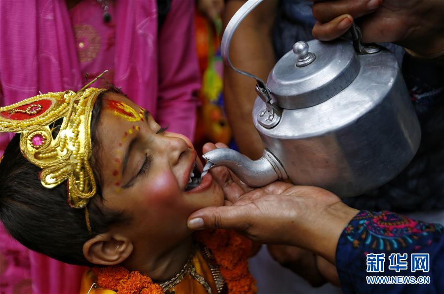 8月16日，在尼泊尔加德满都，一名男孩在参加神牛节游行时饮用牛奶。 新华社发（苏拉韦尔·什雷斯塔摄）