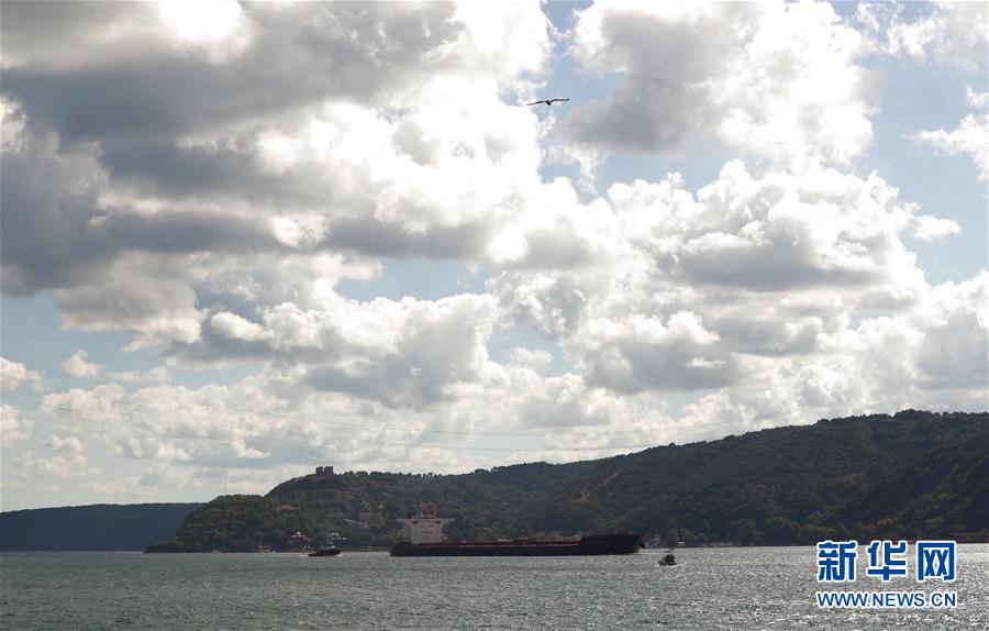 这是8月3日在土耳其伊斯坦布尔拍摄的海滨美景。 土耳其伊斯坦布尔的海滨碧水云天，景色宜人。 新华社记者 徐速绘 摄