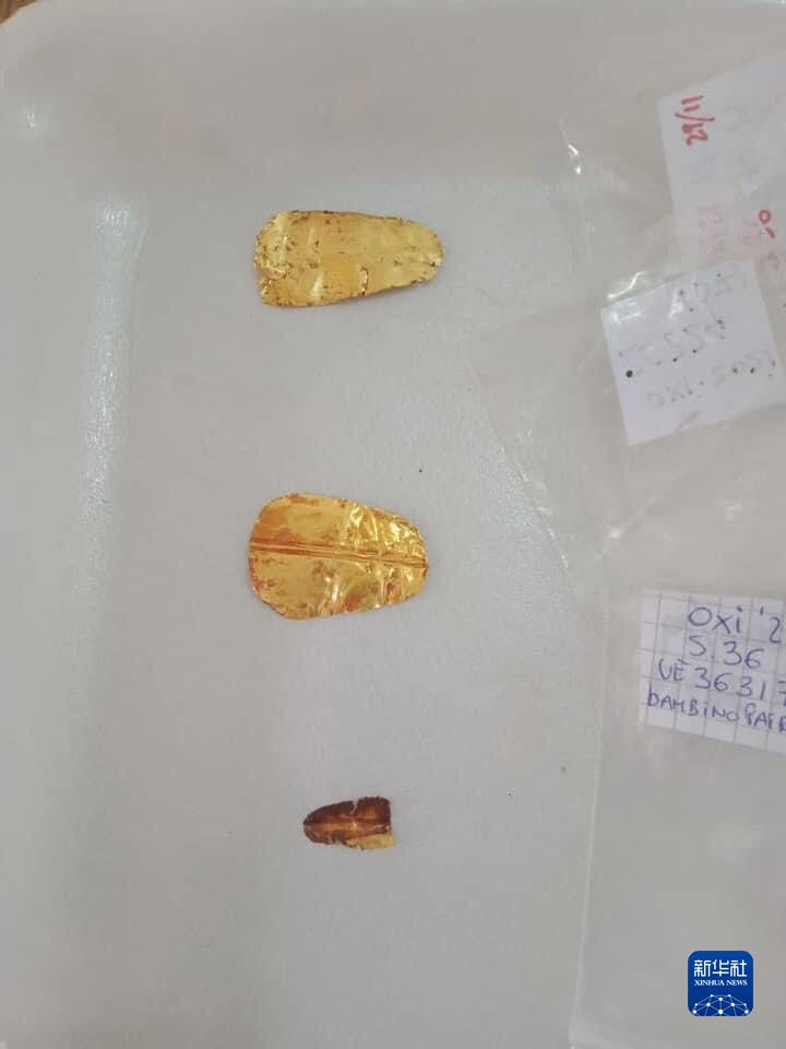 埃及旅游和文物部12月5日发表声明说，来自西班牙的考古团队在埃及明亚省拜赫奈萨考古区发现两座距今超过2500年的墓葬，并出土两具口含“金舌”的人类遗骸。

　　这是埃及明亚省古墓葬中出土的黄金文物。

　　新华社发（埃及旅游和文物部供图）