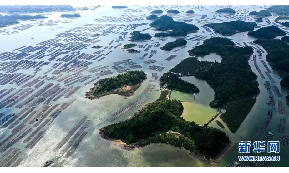 这是无人机拍摄的钦州市七十二泾海域连片万亩大蚝养殖基地景观（7月20日摄）。 新华社记者 张爱林 摄