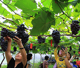 //www.hljpic.cn/ab4f2f7417e7aa25d7b514cd1e664789?p=0