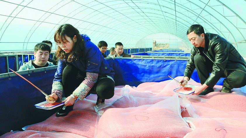 黑龙江农业部门提醒：春耕购农资需注意“五要”“五不要”