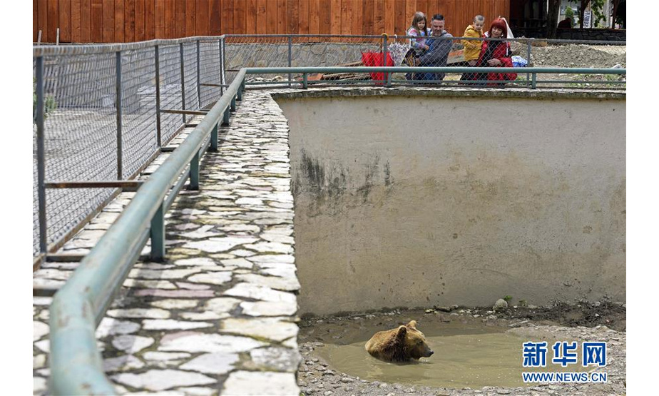5月26日，游客在北马其顿斯科普里动物园参观。新华社发（托米斯拉夫·格奥尔基耶夫摄）