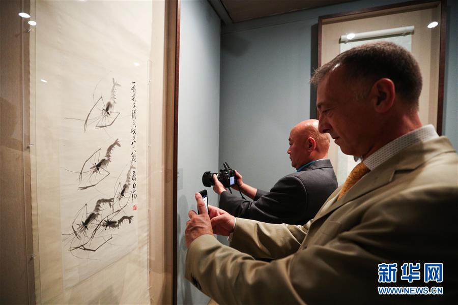 11月12日，观众在希腊雅典塞奥哈拉基斯艺术基金会美术馆观看齐白石艺术展。 新华社记者 郑焕松 摄