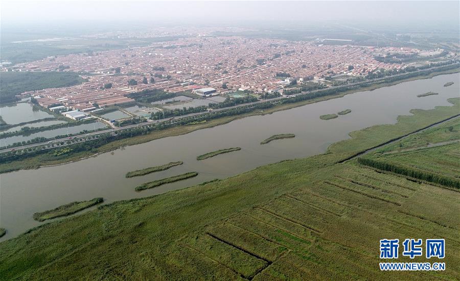 这是天津宁河区的七里海湿地（2018年9月13日无人机拍摄）。
 
　　近日，天津市发布了《天津市生态保护红线》，陆海统筹划定生态保护红线总面积1393.79平方公里（扣除重叠），占全市陆海总面积的9.91%。 新华社记者 岳月伟 摄
