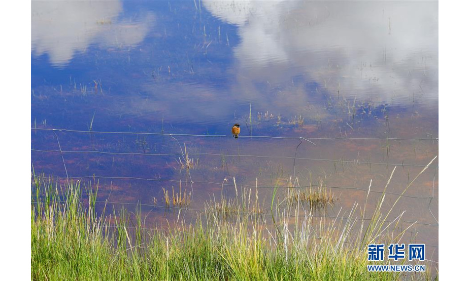 这是西藏日喀则市仲巴县湿地景色（9月13日摄）。西藏日喀则各地秋季美景如画，令人陶醉。新华社记者 刘东君 摄