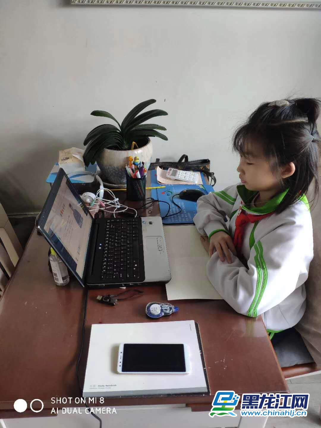 3月2日，黑龙江省春季新学期开学第一天，为维护疫情防控大局、确保广大师生身体健康，全省274万4349名中小学生同时参加线上学习，实现“停课不停学”，这在黑龙江基础教育史上前所未有。图为哈尔滨市奋斗小学学生正在线上学习。