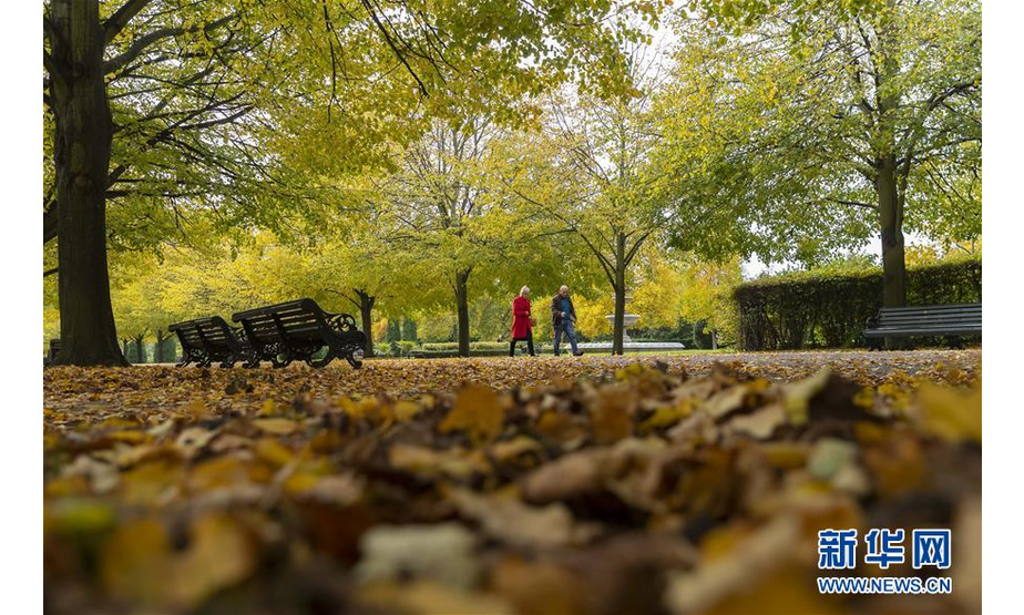 这是10月19日拍摄的英国伦敦摄政公园秋景。 新华社记者 韩岩 摄