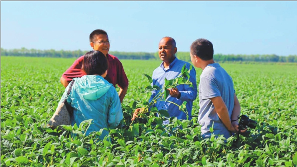 作为全国大豆总产量最高的地级市 黑河瞄准增