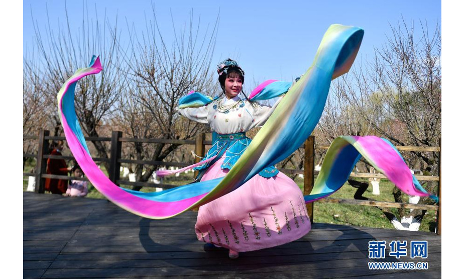 2月21日，戏剧演员在杭州西溪国家湿地公园的一片梅林前表演水袖舞。新华社记者 黄宗治 摄