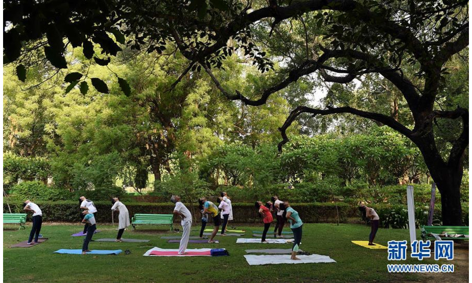 这是在印度新德里，人们在公园练习瑜伽（2019年6月21日摄）。 新华社记者 张迺杰 摄