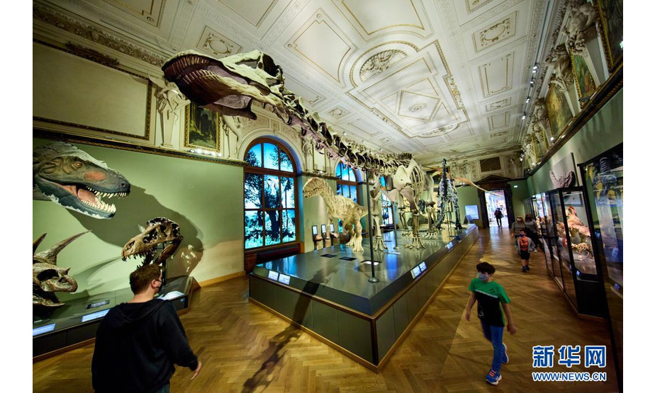5月12日，游客参观奥地利维也纳自然历史博物馆。

　　近日，随着奥地利疫情限制措施的进一步放松，其首都维也纳的博物馆也再次开门迎客。维也纳自然历史博物馆是世界著名博物馆之一，收藏了来自生物学、地球科学、人类学和考古学等领域的超过3000万件藏品。

　　新华社发（乔治斯·施耐德摄）