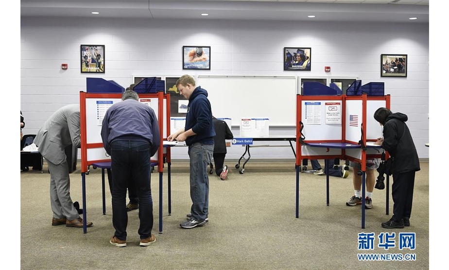 11月6日，选民在美国弗吉尼亚州阿灵顿的一处投票点参加中期选举投票。 美国6日举行2018年中期选举。 新华社记者 刘杰 摄
