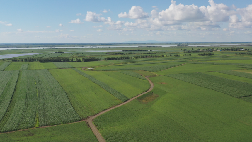 【龙江县融】黑龙江同江:黑土地保护利用让土地更肥沃 守护"耕地中的