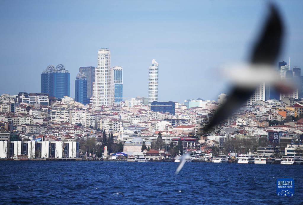这是12月26日在土耳其伊斯坦布尔拍摄的博斯普鲁斯海峡风光。

　　新华社记者沙达提摄