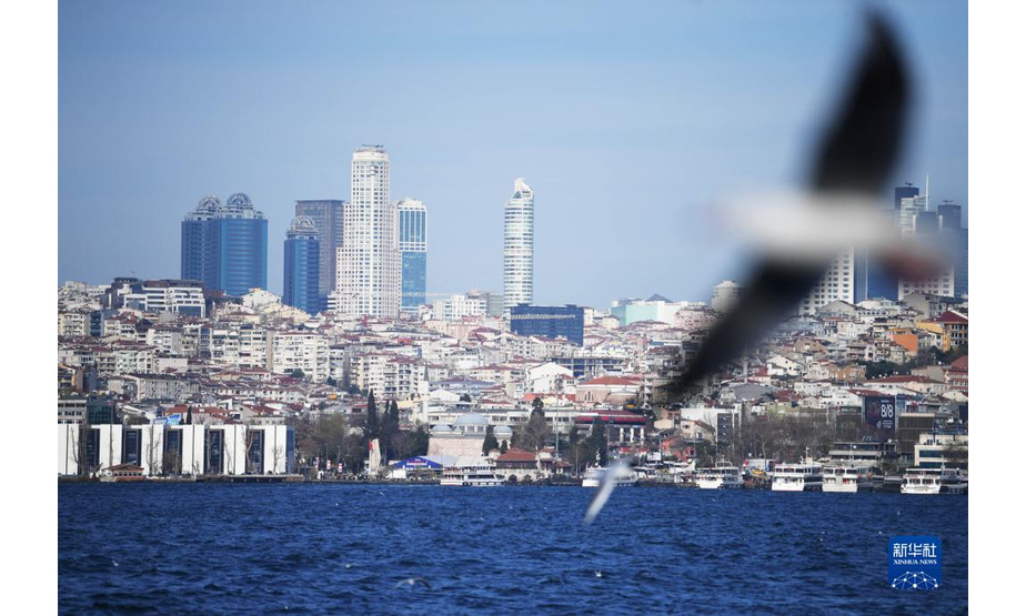这是12月26日在土耳其伊斯坦布尔拍摄的博斯普鲁斯海峡风光。

　　新华社记者沙达提摄