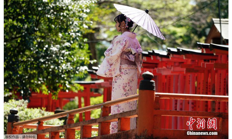 当地时间2019年4月16日，日本东京，春光明媚，一名身穿和服的女子在根津神社里拍照。

