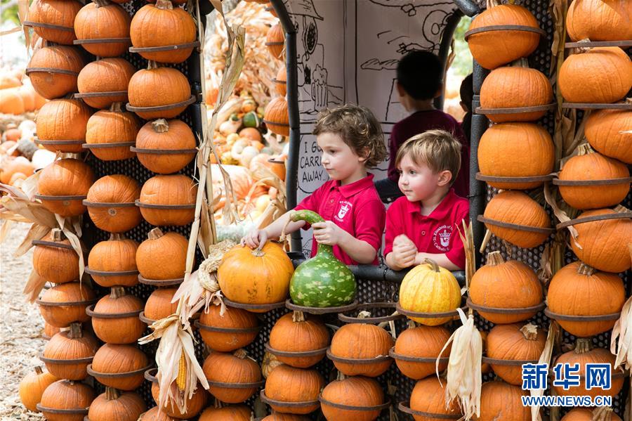 10月10日，在美国得克萨斯州达拉斯植物园的“南瓜小镇”，孩子们在南瓜屋里玩耍。 美国得克萨斯州达拉斯市植物园每年秋天都要搭建一座“南瓜小镇”，今年的“南瓜小镇”以美国著名漫画人物查理·布朗和他的小伙伴们为主题。 新华社发（田丹摄）