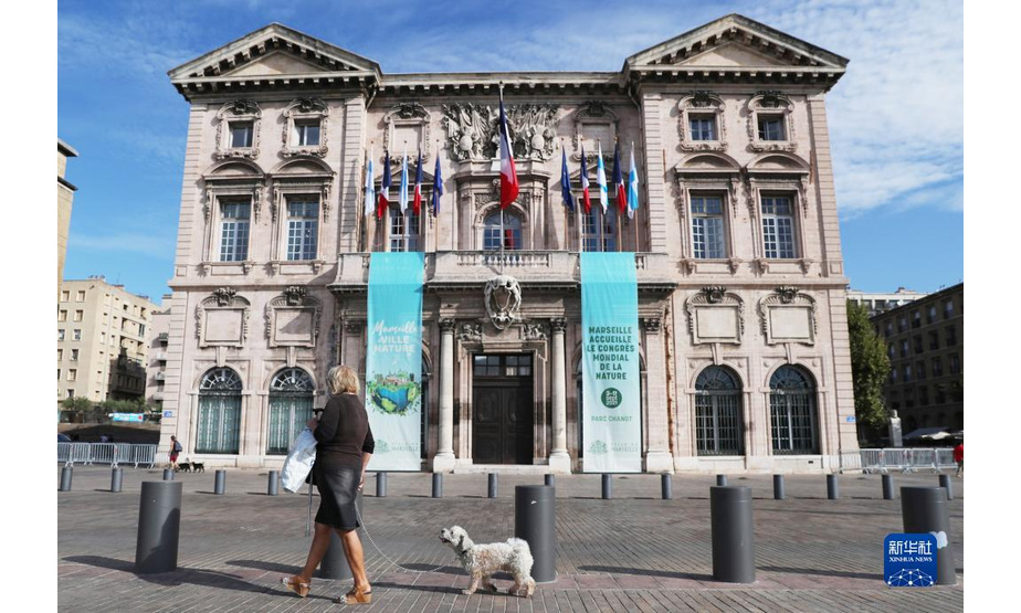 9月4日，一名女子在法国马赛市政厅前遛狗。新华社记者 高静 摄