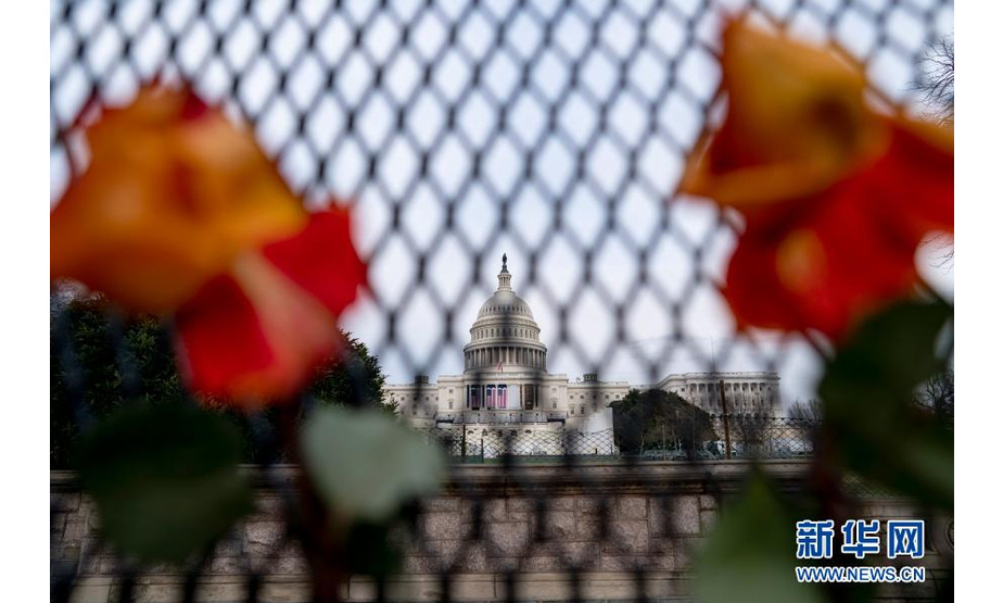 这是1月11日在美国首都华盛顿透过隔离围栏拍摄的国会大厦。新华社记者 刘杰 摄