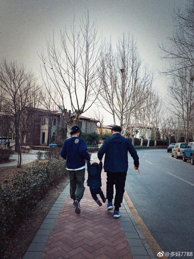 黄磊孙莉罕见晒儿子照片 三人穿同色上衣背影