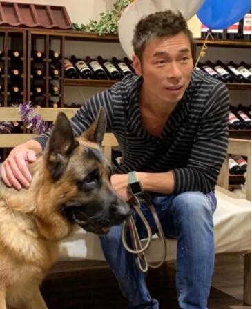 和好如初?郑秀文晒照疑为许志安爱犬庆生