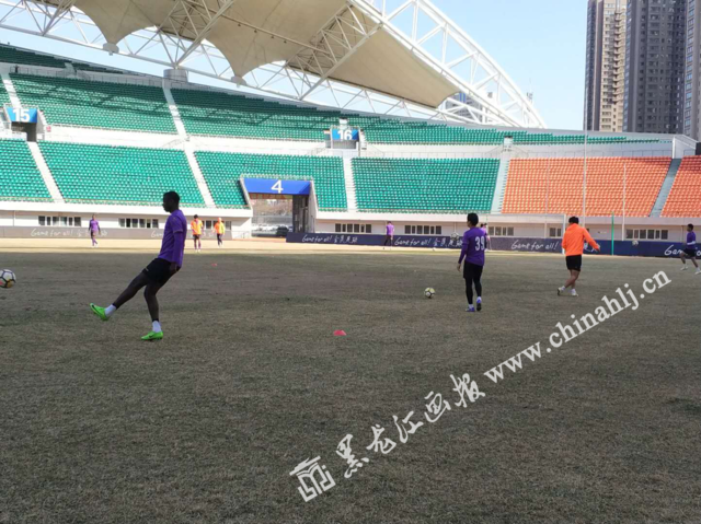 足协杯第四轮 黑龙江FC新赛季主场首战贵州恒