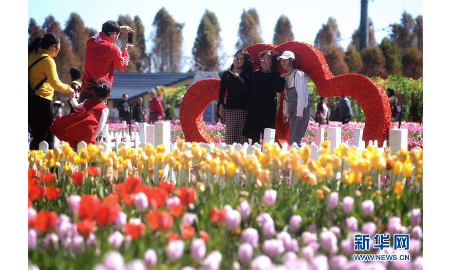 2月6日，游客在云南省昆明市捞鱼河湿地公园拍摄留念。