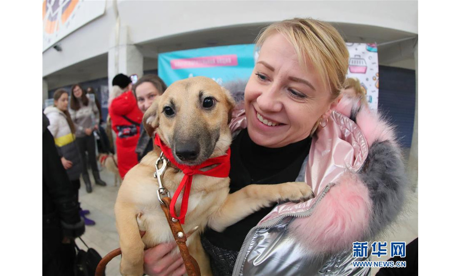 1月18日，在白俄罗斯首都明斯克，一名女子抱着宠物狗参加活动。 新华社发（任科夫摄）