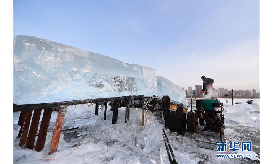 12月11日，在松花江哈尔滨段，工人进行采冰作业。

目前，松花江哈尔滨段已进入“采冰季”，有关部门组织工人在封冻的松花江上采冰，用于哈尔滨市区各个冰雪景观的制作。 新华社发（谢剑飞 摄）