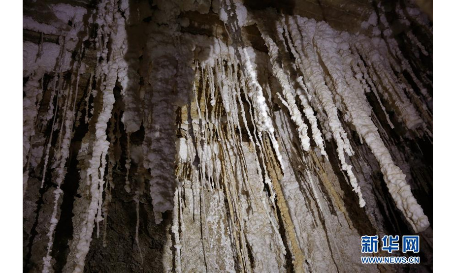 这是4月14日在位于死海南端的以色列迈勒海姆盐洞内拍摄的盐钟乳石。 以色列洞穴研究专家近日宣布，他们与来自其他国家的洞穴探索者合作勘查发现，位于死海地区的以色列迈勒海姆洞长10公里，是世界上最长的盐洞。这个盐洞最初由以色列希伯来大学洞穴研究中心专家上世纪80年代在绵延11公里的塞多姆山里发现。塞多姆山位于死海西南端，比海平面低170米。山体几乎全部由盐构成，只覆盖薄薄一层岩石。每年冬季，雨水渗入山石缝隙，溶解盐分，不断形成新的洞穴。 新华社发（吉尔·科恩·马根 摄）