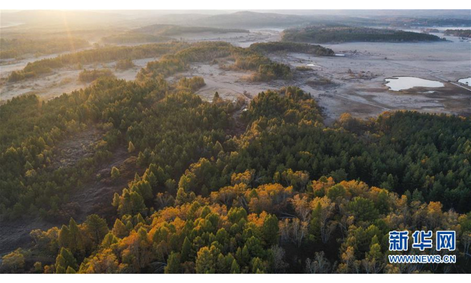 9月27日拍摄的塞罕坝国家森林公园美景（无人机照片）。 新华社发（刘满仓 摄）