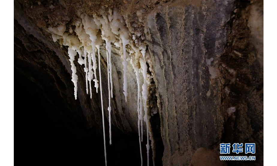 这是4月14日在位于死海南端的以色列迈勒海姆盐洞内拍摄的盐钟乳石。 以色列洞穴研究专家近日宣布，他们与来自其他国家的洞穴探索者合作勘查发现，位于死海地区的以色列迈勒海姆洞长10公里，是世界上最长的盐洞。这个盐洞最初由以色列希伯来大学洞穴研究中心专家上世纪80年代在绵延11公里的塞多姆山里发现。塞多姆山位于死海西南端，比海平面低170米。山体几乎全部由盐构成，只覆盖薄薄一层岩石。每年冬季，雨水渗入山石缝隙，溶解盐分，不断形成新的洞穴。 新华社发（吉尔·科恩·马根 摄）
