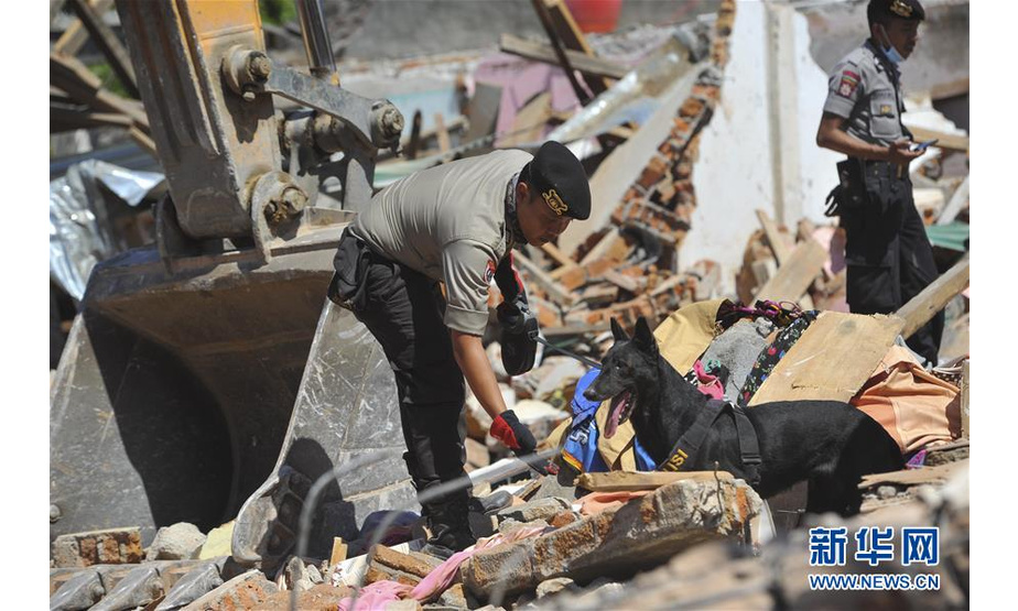8月8日，在印度尼西亚龙目岛，救援人员在地震灾区搜救。 新华社发（祖勒卡纳因摄）