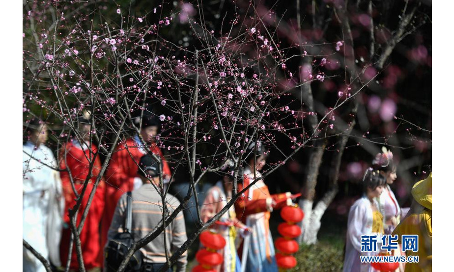 2月21日，汉服爱好者在杭州西溪国家湿地公园巡游赏梅。新华社记者 黄宗治 摄