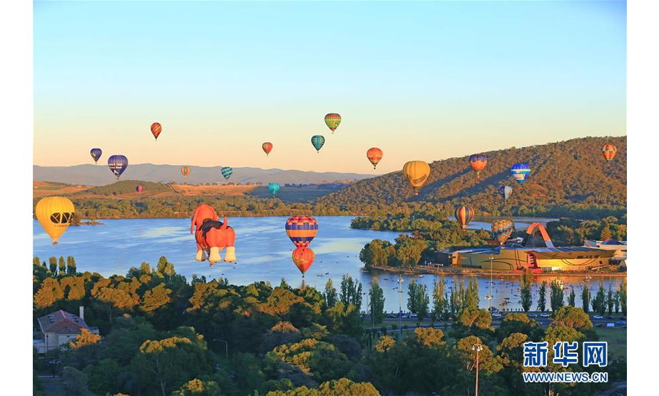 3月12日，在澳大利亚堪培拉，热气球飞过格里芬湖上空。 堪培拉热气球节于3月9日至17日举行。 新华社发（潘翔越摄）