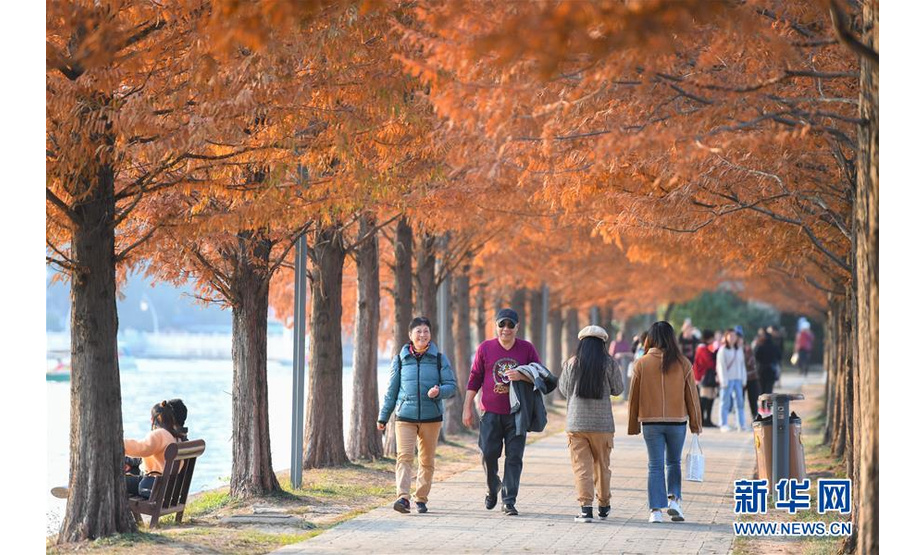 12月10日，游客在湖南烈士公园年嘉湖的游道上行走。新华社记者 陈泽国 摄