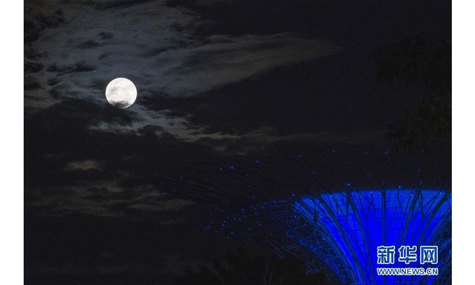 这是2月19日在新加坡拍摄的月亮和“超级树”。

　　年度“最大最圆月”19日（正月十五）现身天宇“合体”元宵月，为人们在世界各地赏月平添情趣。

　　新华社发（邓智炜 摄）
