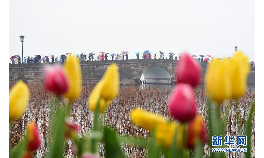 2月10日，游客冒雨在杭州西湖景区白堤上赏景。新华社发（宁文武 摄）