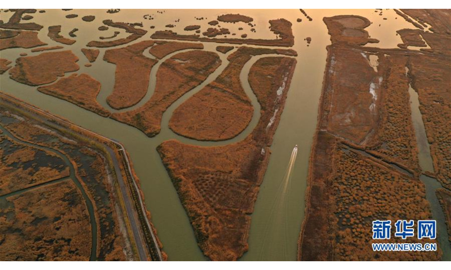 这是10月18日拍摄的宁夏沙湖景区秋色（无人机照片）。新华社记者 王鹏 摄