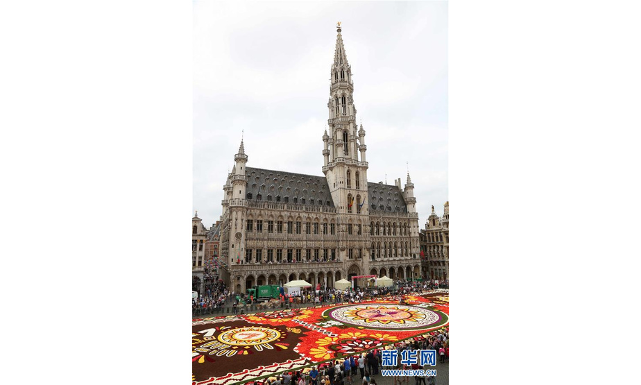 8月16日，由50多万朵秋海棠铺就的鲜花地毯亮相比利时布鲁塞尔大广场。 新华社记者王晓郡摄