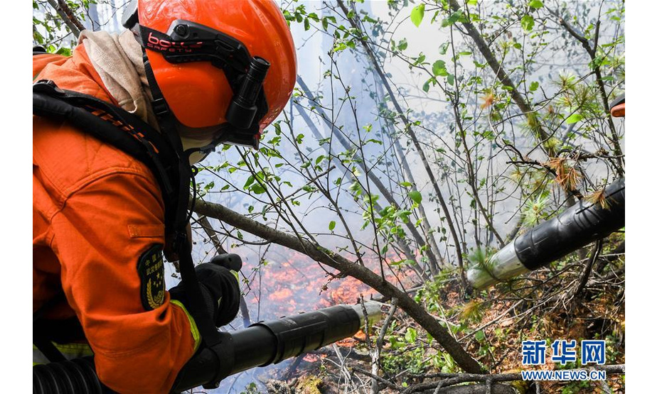 6月4日，武警森林部队战士在汗马国家级自然保护区用风力灭火机灭火。 新华社记者 刘磊 摄